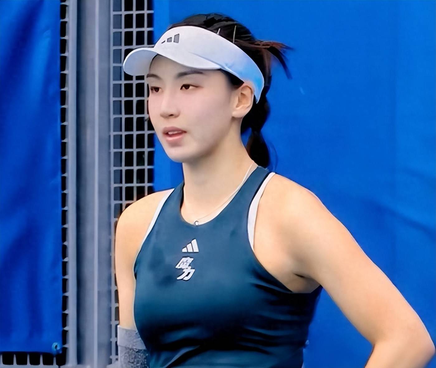 甲引援中属 甲引援中属